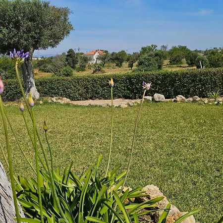 빌라 Quinta Do Lagar - Rural Retreat By The #2