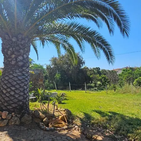 Quinta Do Lagar - Rural Retreat By The #2